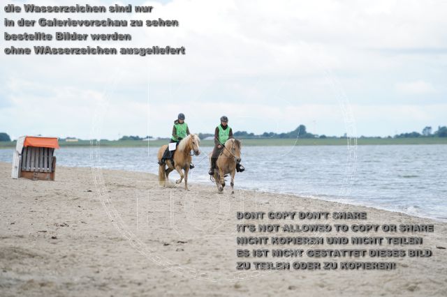s_K3F04996.JPG
